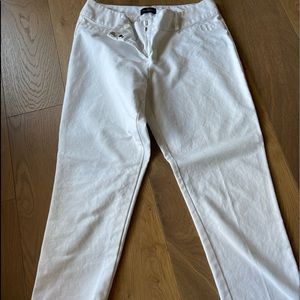 The Limited Dress Pants